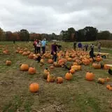 C. N. Smith Farm Pumpkin Picking & Hayride photo