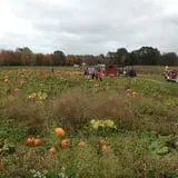 C. N. Smith Farm Pumpkin Picking & Hayride photo