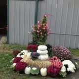 C. N. Smith Farm Pumpkin Picking & Hayride photo