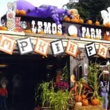 Lemos Farm Pumpkins & Halloween photo