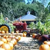 Lemos Farm Pumpkins & Halloween photo