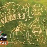 Kingsway Pumpkin Farm photo