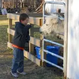 Festival Farm Pumpkin Patch & Hayride photo