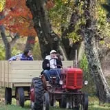 Festival Farm Pumpkin Patch & Hayride photo