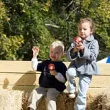 Festival Farm Pumpkin Patch & Hayride photo