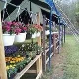 Festival Farm Pumpkin Patch & Hayride photo