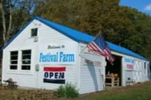 Festival Farm Pumpkin Patch & Hayride