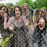 Nightmare New England & SpookyWorld! photo