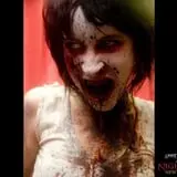 Nightmare New England & SpookyWorld! photo