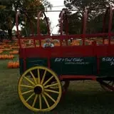 Hawks Pumpkin Patch photo