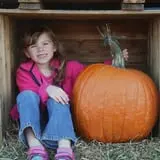 Hawks Pumpkin Patch photo