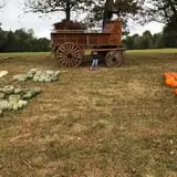 Hawks Pumpkin Patch photo