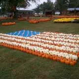 Hawks Pumpkin Patch photo