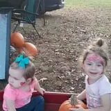 Hawks Pumpkin Patch photo