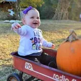 Hawks Pumpkin Patch photo