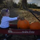 Hawks Pumpkin Patch photo