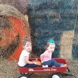 Hawks Pumpkin Patch photo