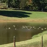 Hawks Pumpkin Patch photo