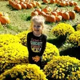 Hawks Pumpkin Patch photo