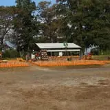 Hawks Pumpkin Patch photo