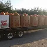 Hawks Pumpkin Patch photo