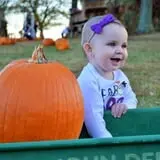 Hawks Pumpkin Patch photo