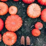 Hawks Pumpkin Patch photo