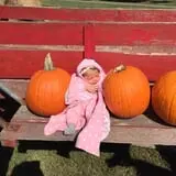 Hawks Pumpkin Patch photo
