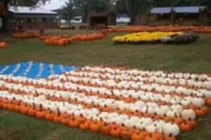 Hawks Pumpkin Patch