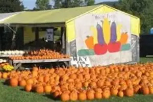 Chris' Farm Stand Pumpkin Festival
