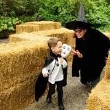 Boo at the Zoo