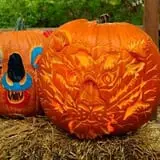 Boo at the Zoo