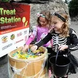 Boo at the Zoo