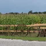 Crow River Winery photo