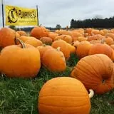 Crow River Winery photo