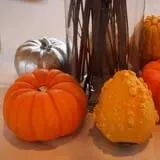 Crow River Winery photo