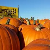 Crow River Winery photo