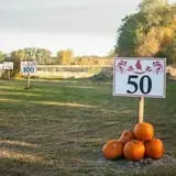 Crow River Winery photo