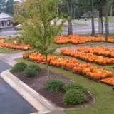 St. Bart's Pumpkin Patch photo