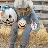 Eddie's Home Haunt photo