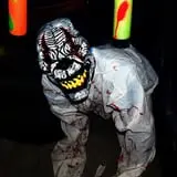 VB HOUSE OF TORMENT photo