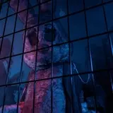 Vibe Haunted House