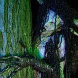 Vibe Haunted House photo