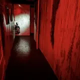 Vibe Haunted House photo