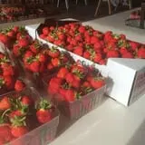 Grossnickle Farms photo