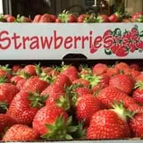 Grossnickle Farms photo