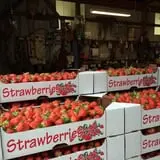Grossnickle Farms photo