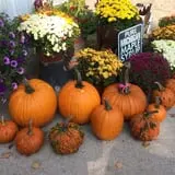 Grossnickle Farms photo