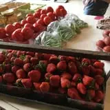 Grossnickle Farms photo