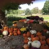 Grossnickle Farms photo